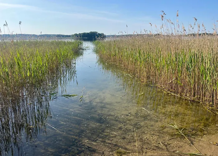 Letniskowy Opowiesci Z Narie Domek letniskowy *