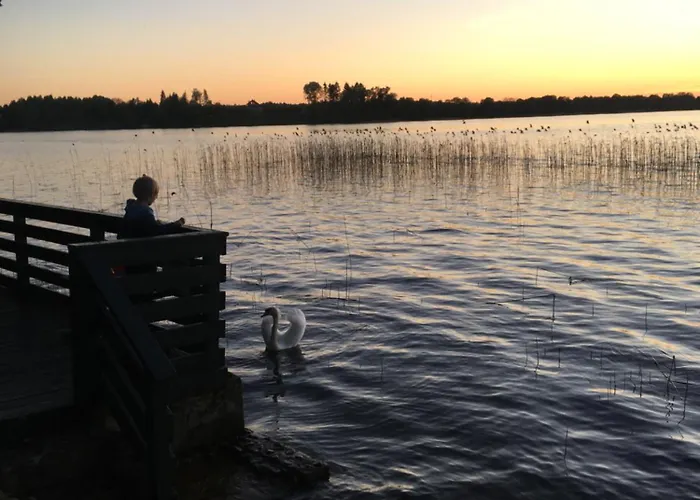 Letniskowy Opowiesci Z Narie * Kretowiny